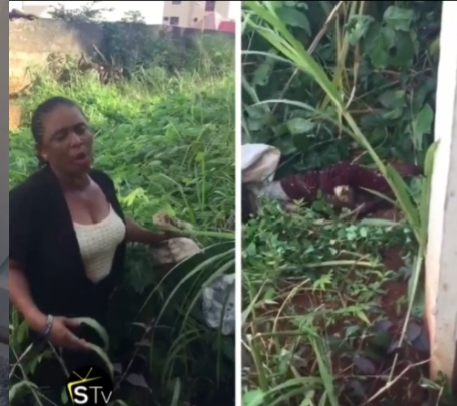 Anambra Woman Allegedly Kills House Help and Buries Her in a Bush